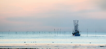 Ein Krabbenkutter fährt in der Abenddämmerung durchs Wattenmeer.