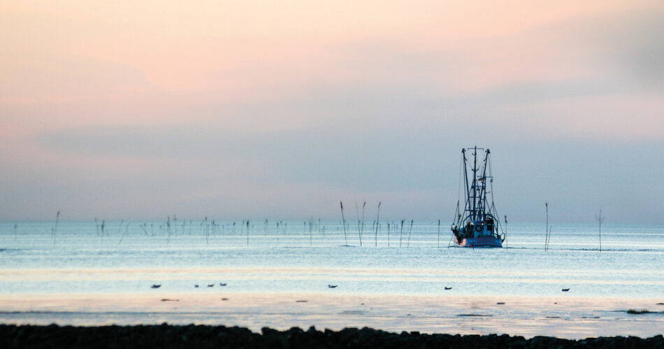 Kulinarik trifft Natur an der Wurster Nordseeküste